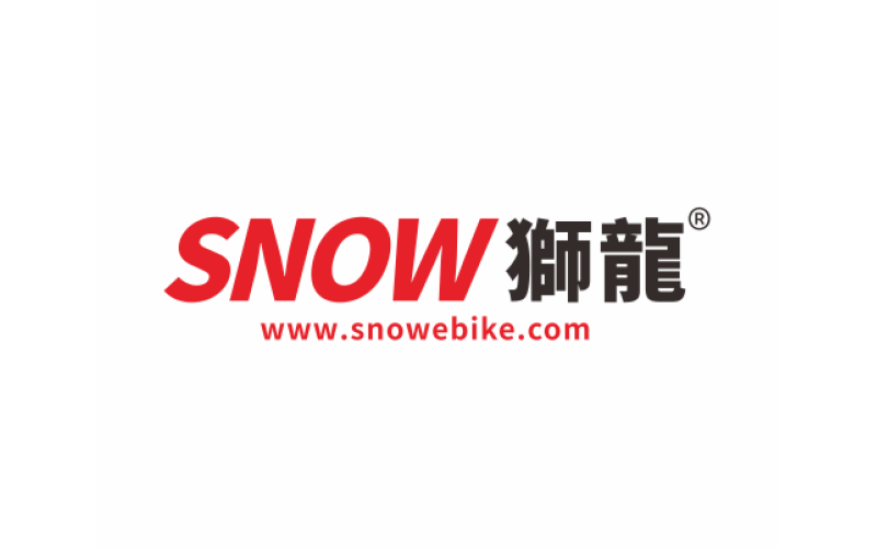 獅龍電動車